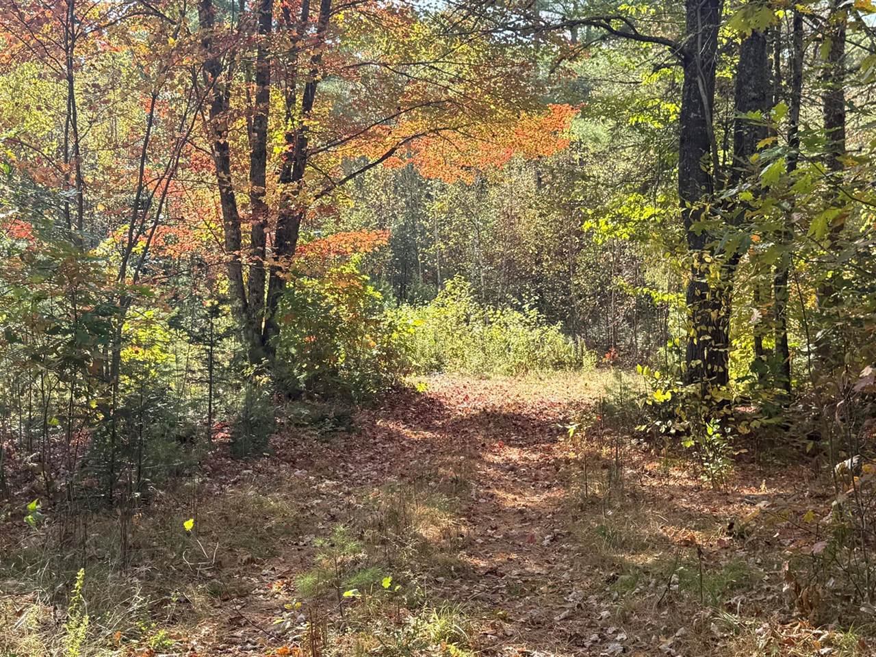 Off Andrews Road, Drew Plt, ME 04497