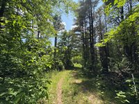 Off Andrews Road, Drew Plt, ME 04497