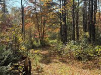 Off Andrews Road, Drew Plt, ME 04497