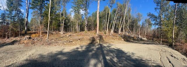 Lot 5 Peterson Road, Bowerbank, ME 04426