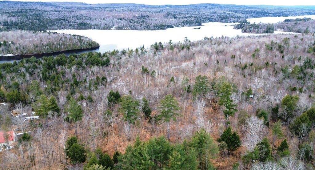 Lot 5 Peterson Road, Bowerbank, ME 04426