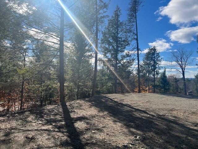 Lot 5 Peterson Road, Bowerbank, ME 04426