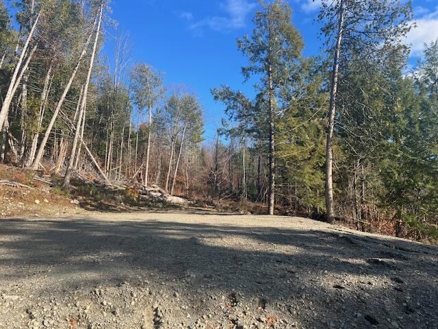 Lot 5 Peterson Road, Bowerbank, ME 04426