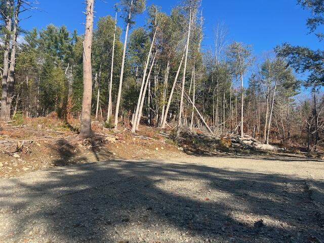 Lot 5 Peterson Road, Bowerbank, ME 04426