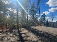 Lot 5 Peterson Road, Bowerbank, ME 04426