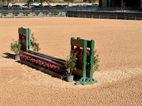 456 Hickory Loop, Rutherfordton, NC 28139-6565