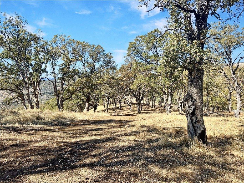 20560 Solar Ridge, Lower Lake, CA 95457