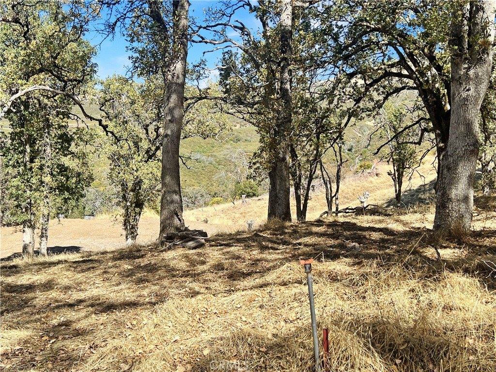 20560 Solar Ridge, Lower Lake, CA 95457