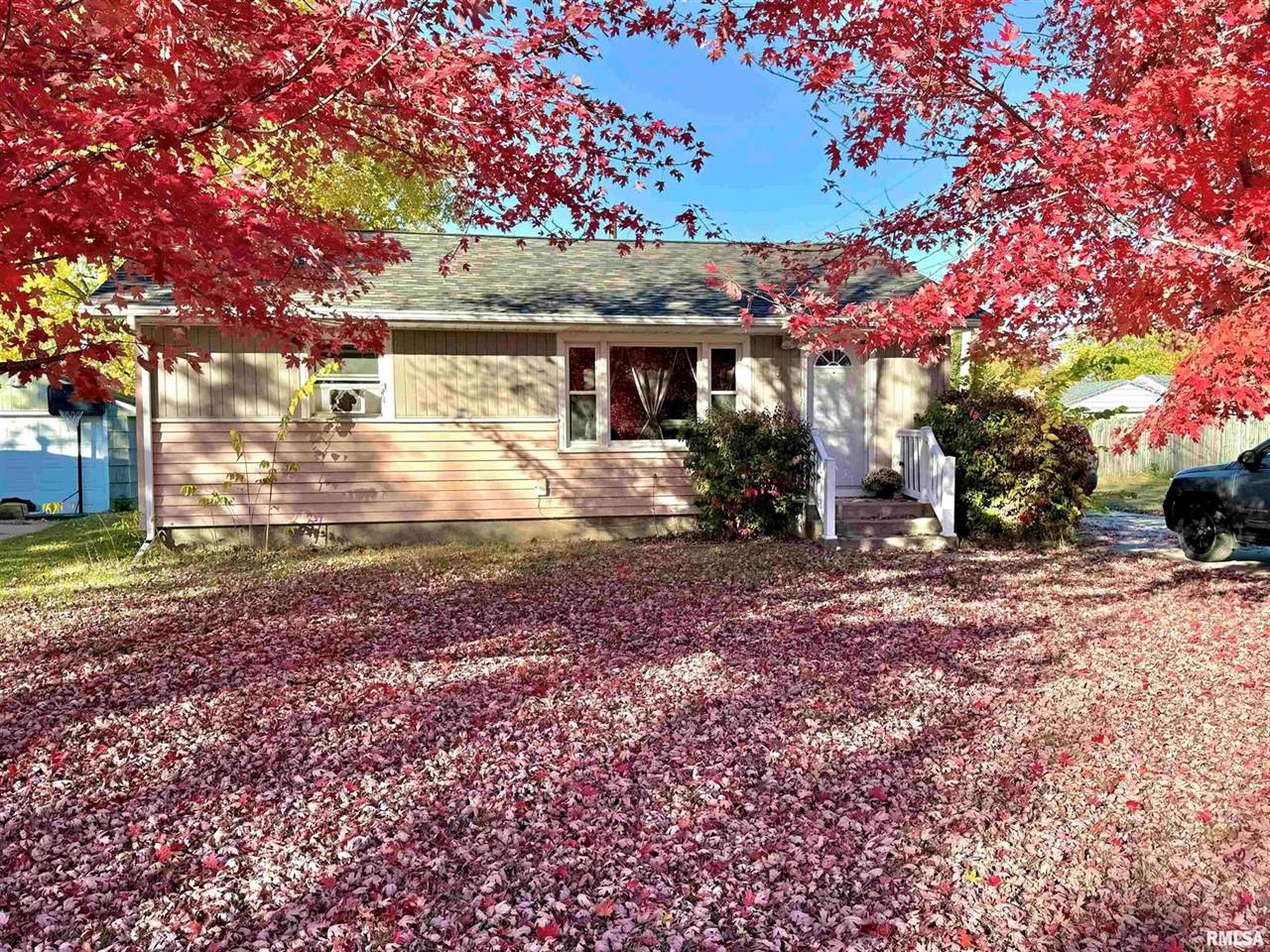 113 East 7TH Avenue A, Colona, IL 61241