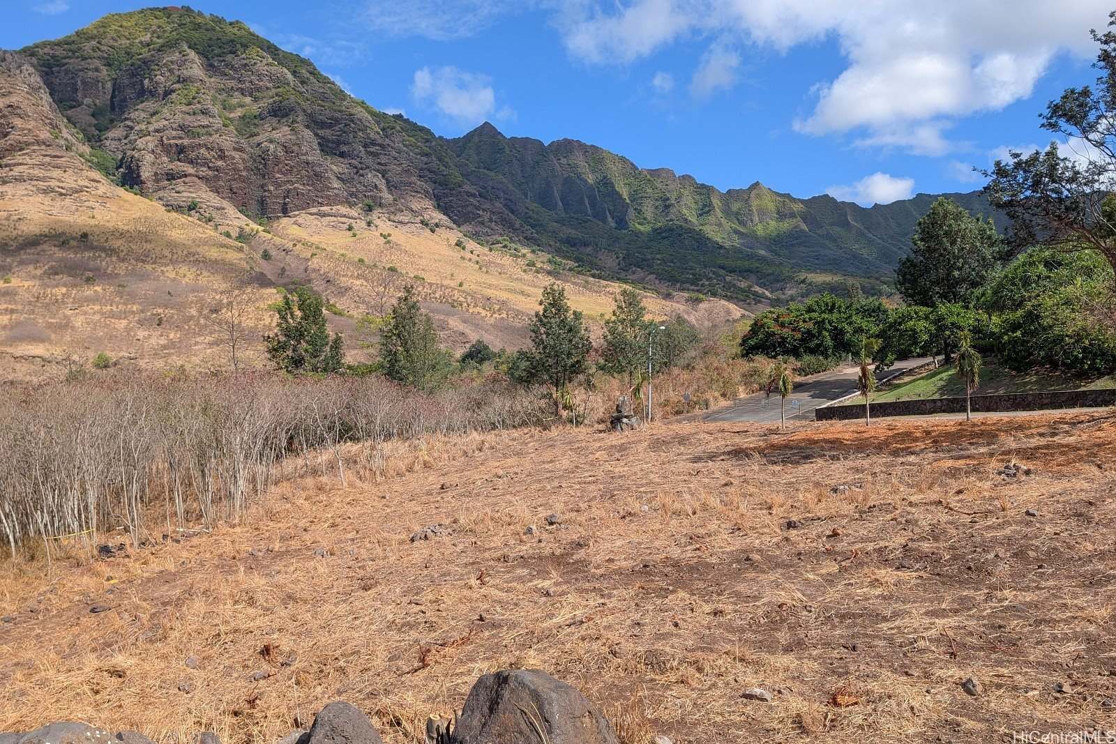 84-1239 Maunaolu Street, Waianae, HI 96792