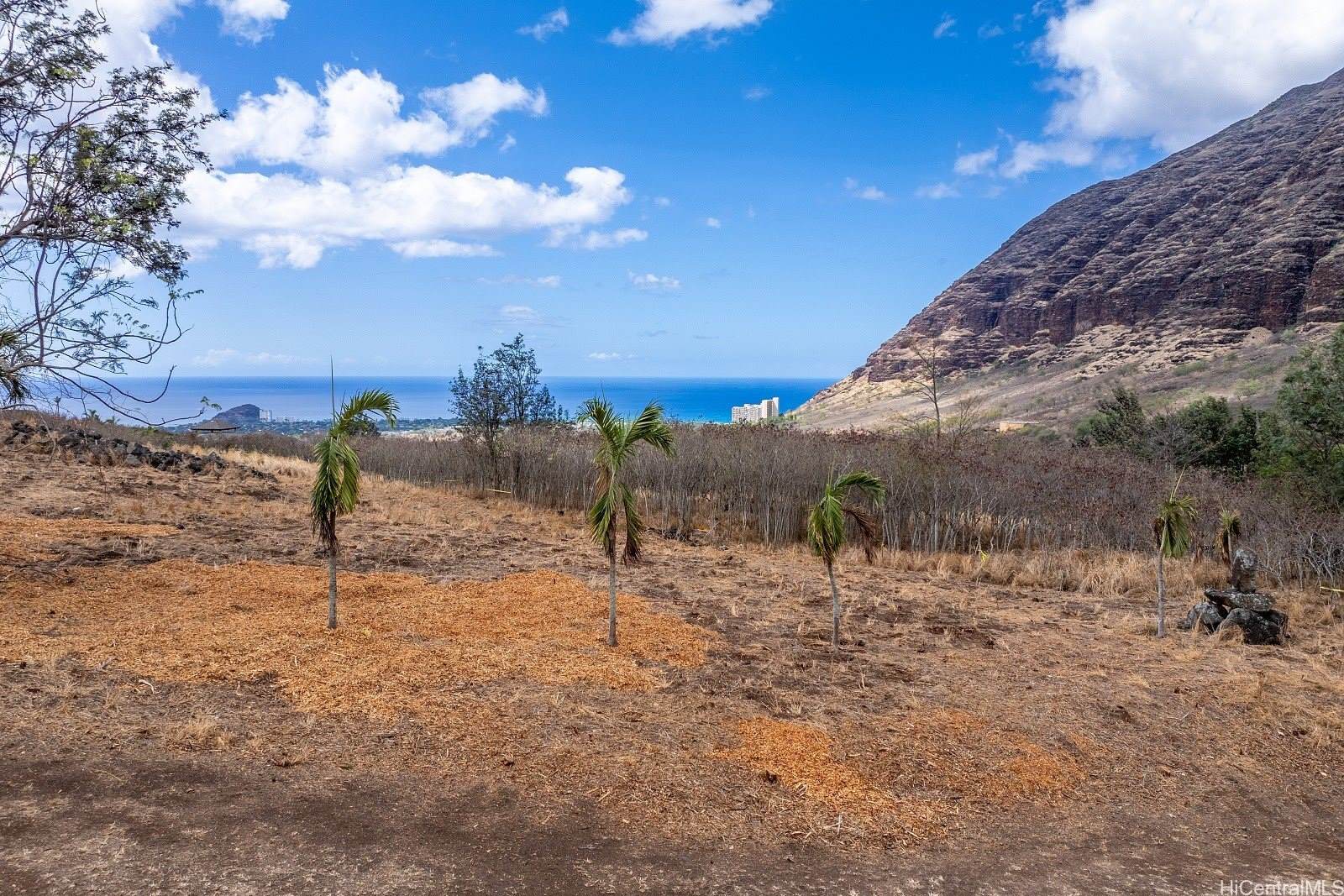 84-1239 Maunaolu Street, Waianae, HI 96792