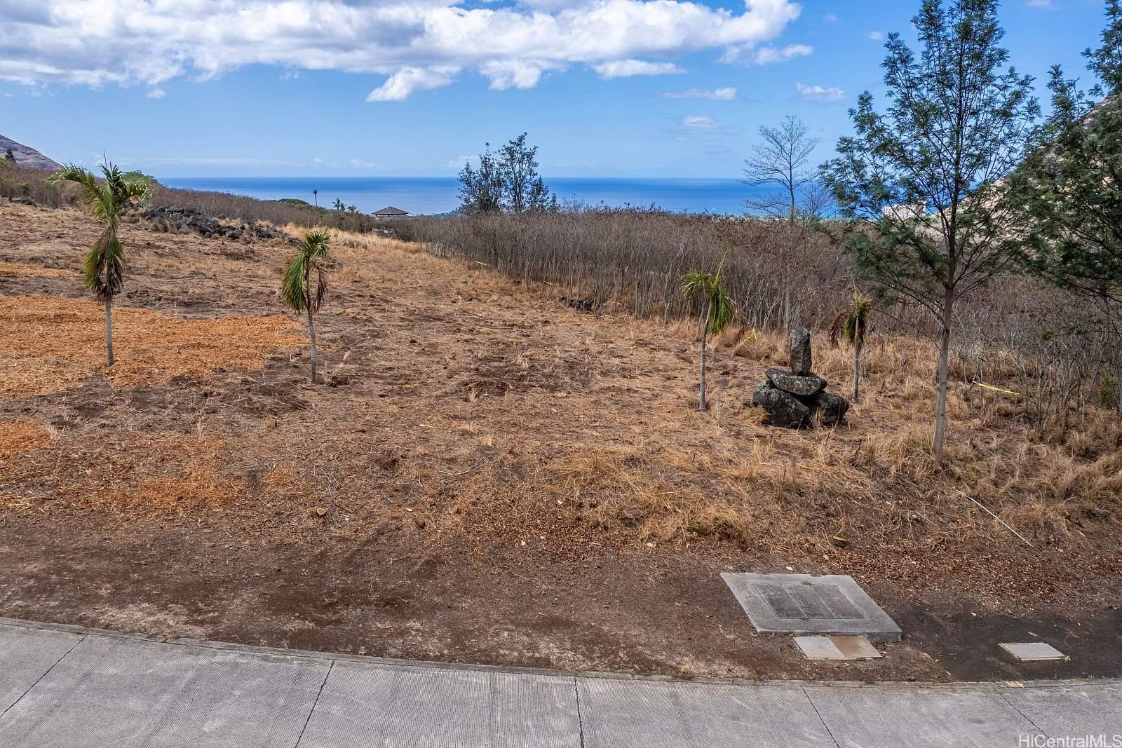 84-1239 Maunaolu Street, Waianae, HI 96792