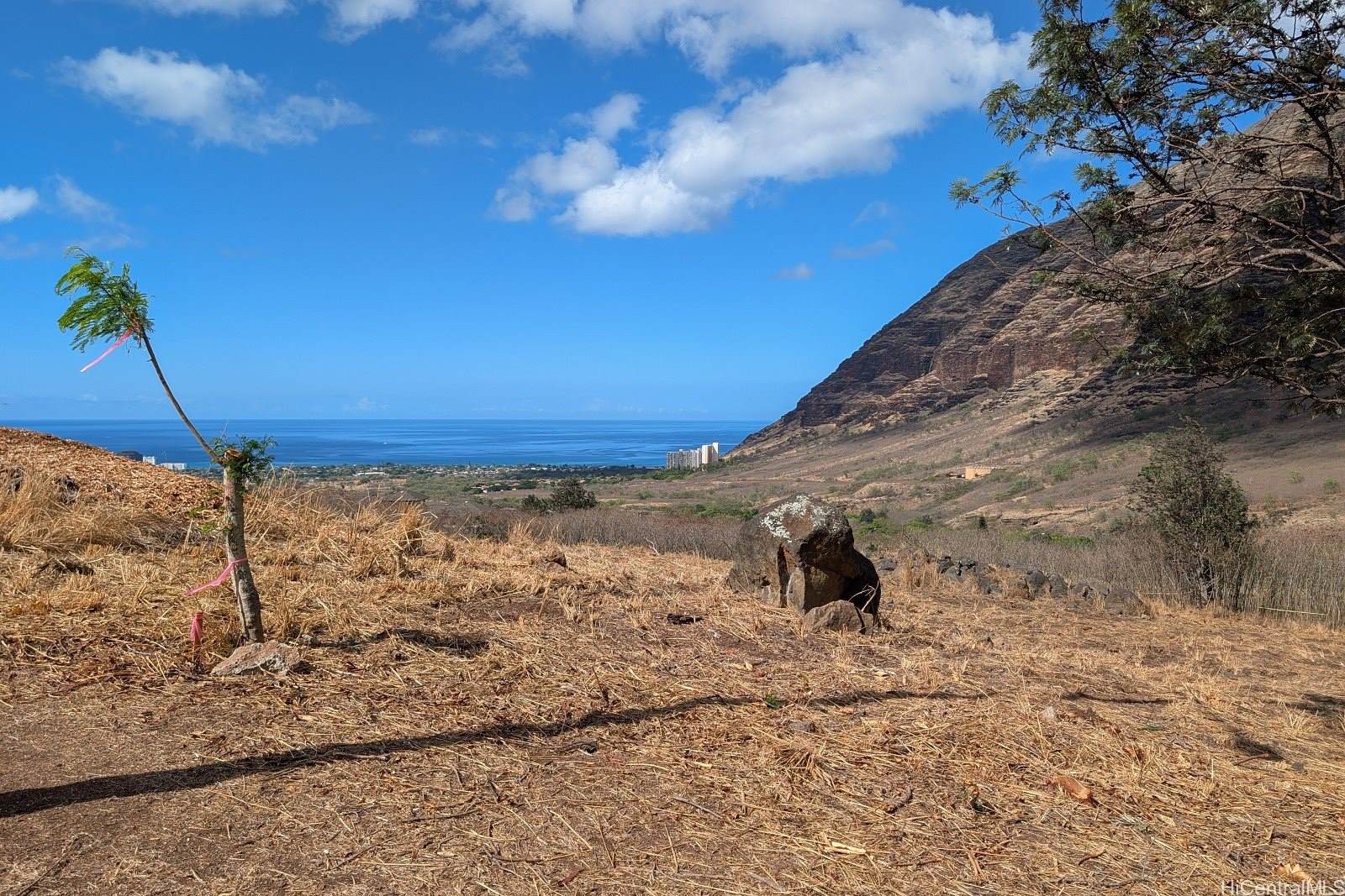 84-1239 Maunaolu Street, Waianae, HI 96792