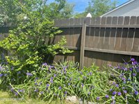 60 Shell Street, Beachwood, NJ 08722