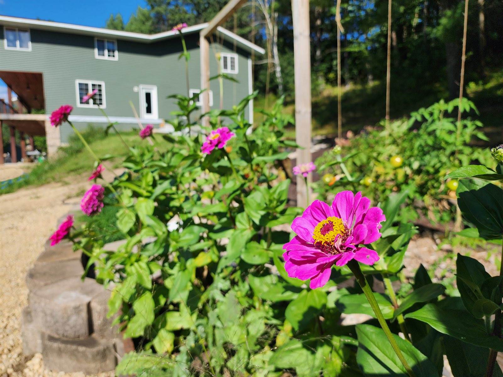 26378 Drake Ln, Henrietta, WI 53924