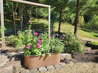 26378 Drake Ln, Henrietta, WI 53924