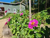 26378 Drake Ln, Henrietta, WI 53924