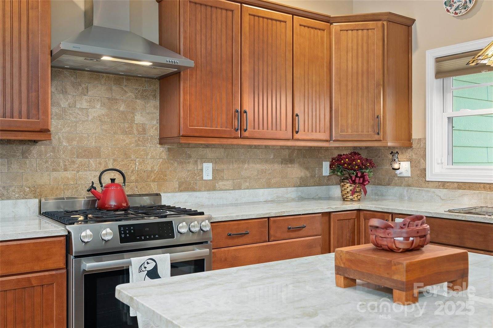 16 Farm Pond Lane, Candler, NC 28715