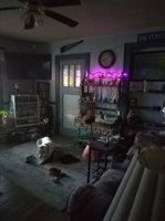 212 1st Pinehiil, Sprinhill, LA 70175