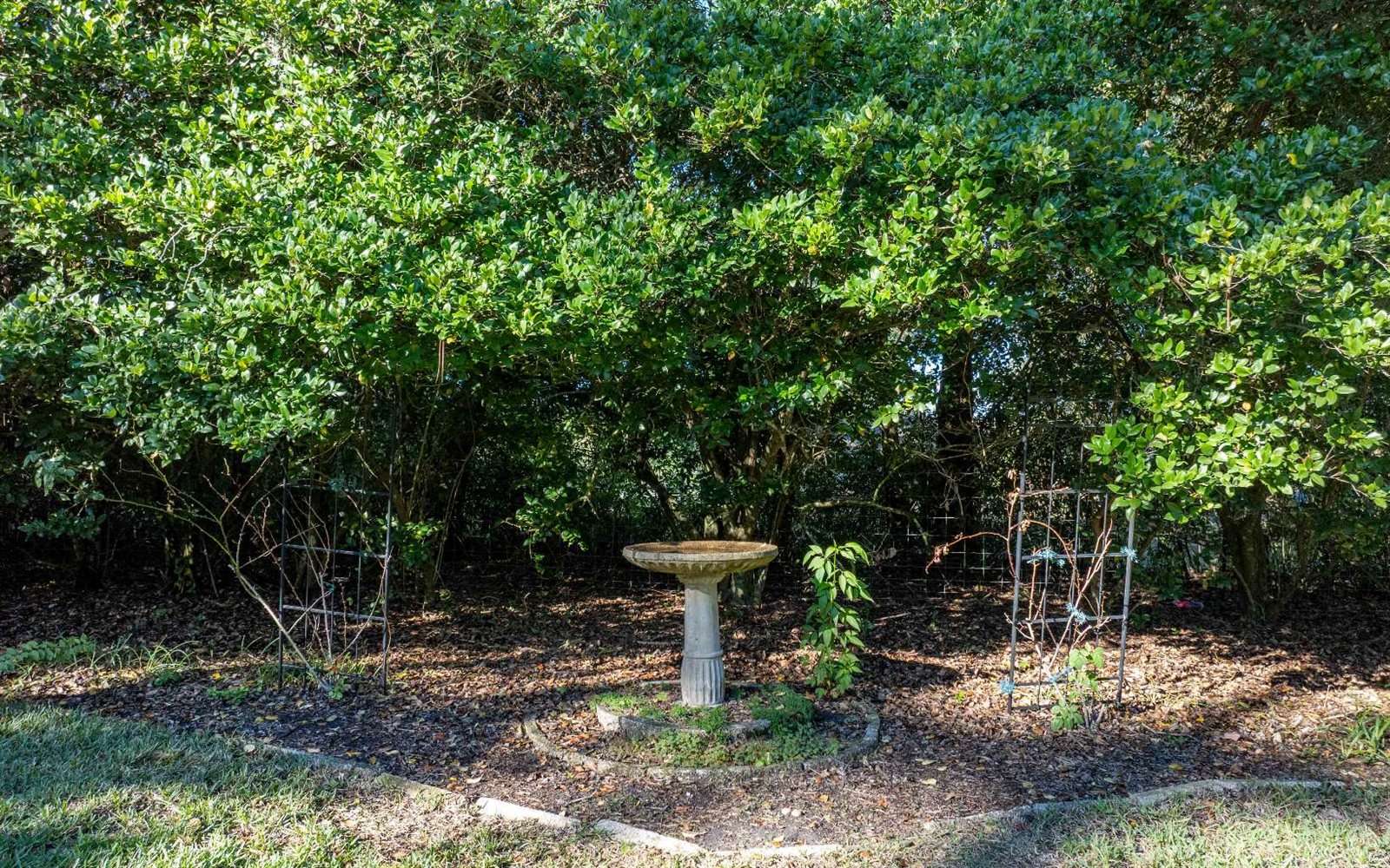124 SW Randall Terrace, Lake City, FL 32024