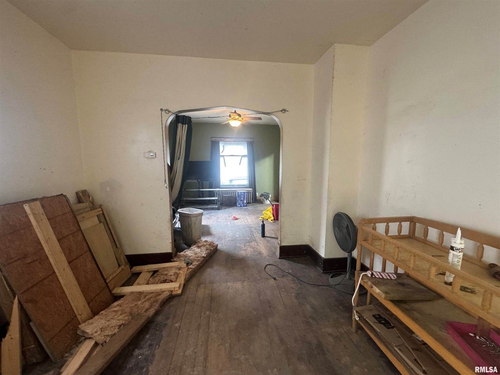 111 North Park Street, Savanna, IL 61074