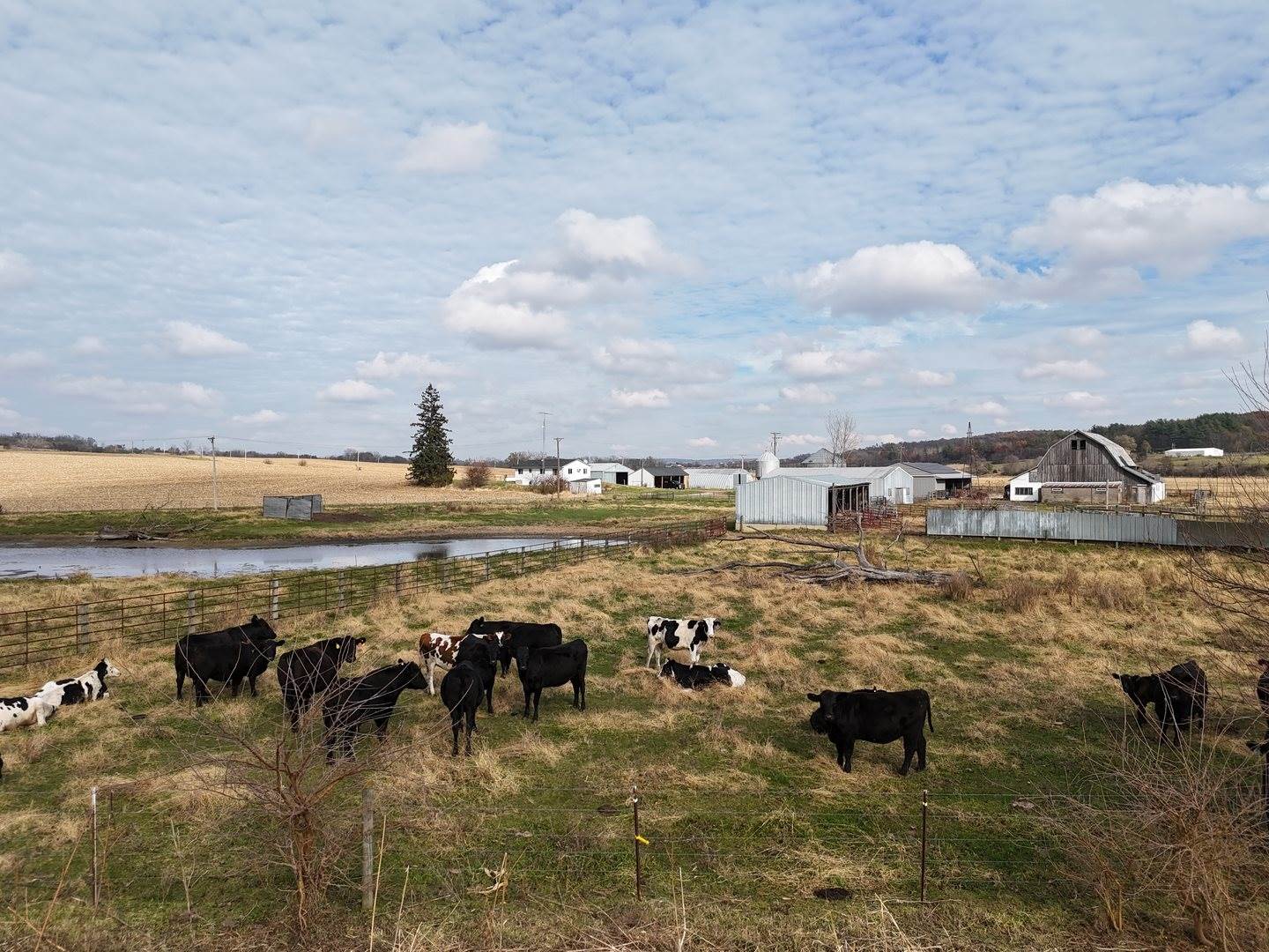 6977 South Elmoville Road, Stockton, IL 61085