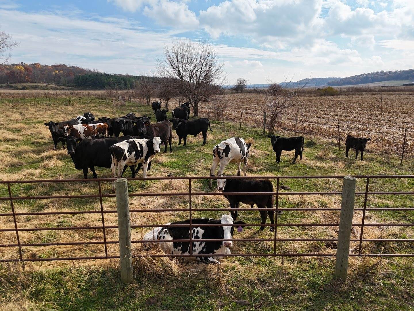 6977 South Elmoville Road, Stockton, IL 61085