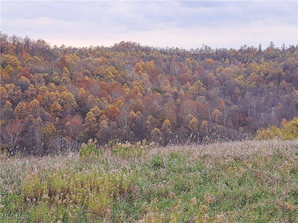 0 Winstead Road, Quaker City, OH 43773