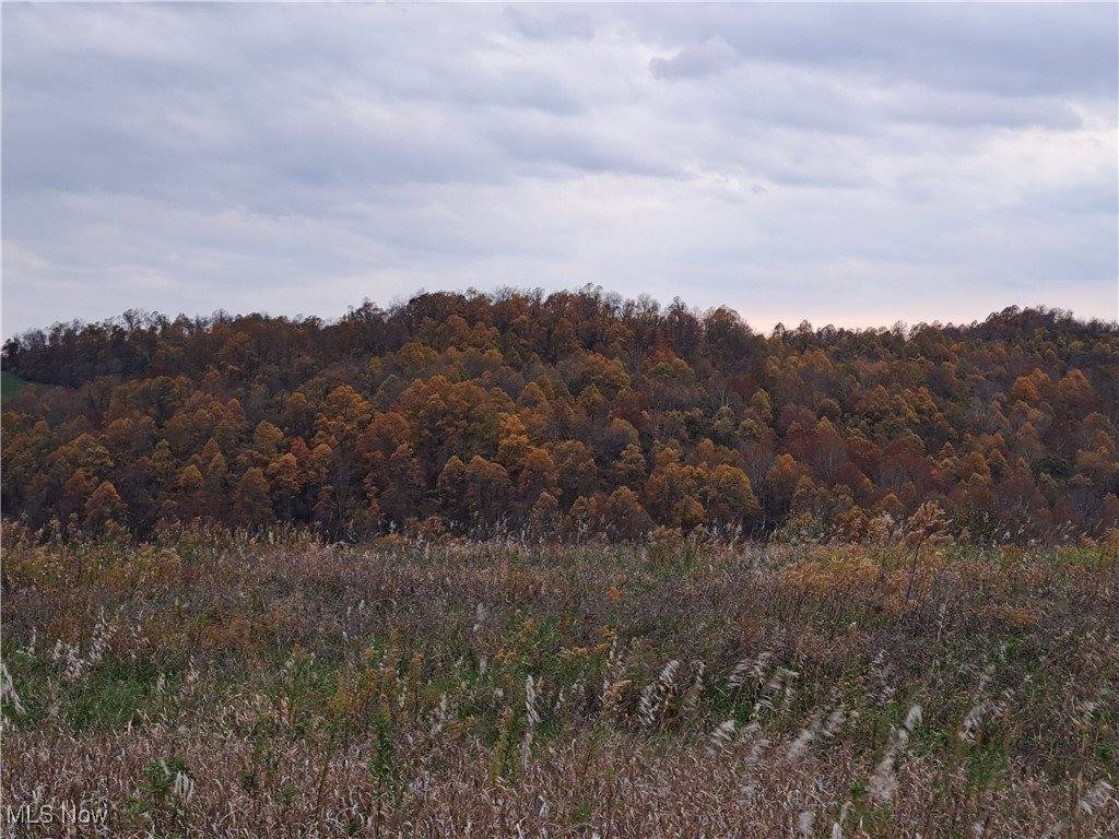 0 Winstead Road, Quaker City, OH 43773