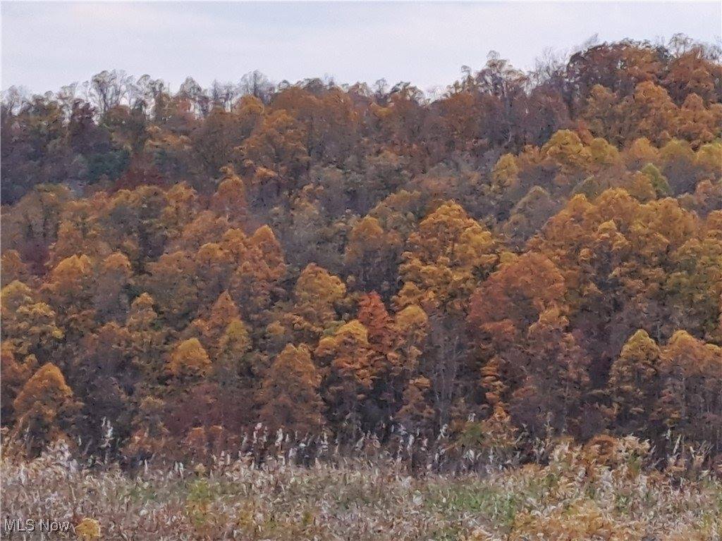 0 Winstead Road, Quaker City, OH 43773