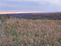 0 Winstead Road, Quaker City, OH 43773