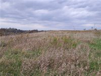 0 Winstead Road, Quaker City, OH 43773