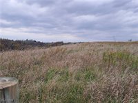 0 Winstead Road, Quaker City, OH 43773