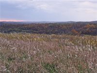 0 Winstead Road, Quaker City, OH 43773