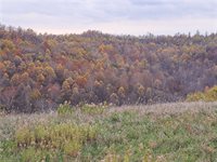 0 Winstead Road, Quaker City, OH 43773