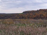 0 Winstead Road, Quaker City, OH 43773