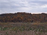 0 Winstead Road, Quaker City, OH 43773