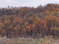 0 Winstead Road, Quaker City, OH 43773