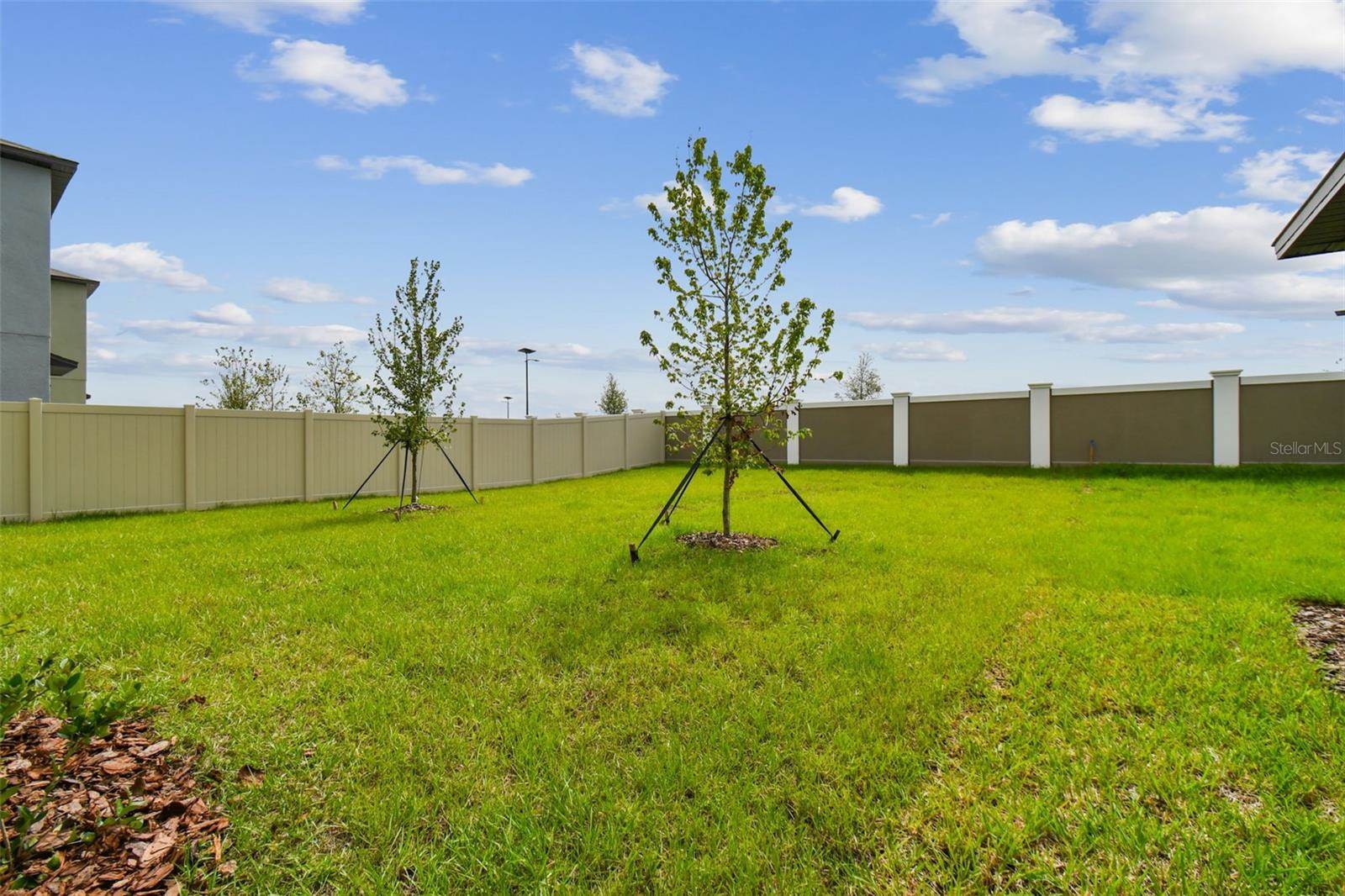 11126 Radiant Shore Loop, San Antonio, FL 33576