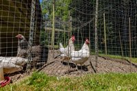 7203 Erna Lane, Sedro Woolley, WA 98284