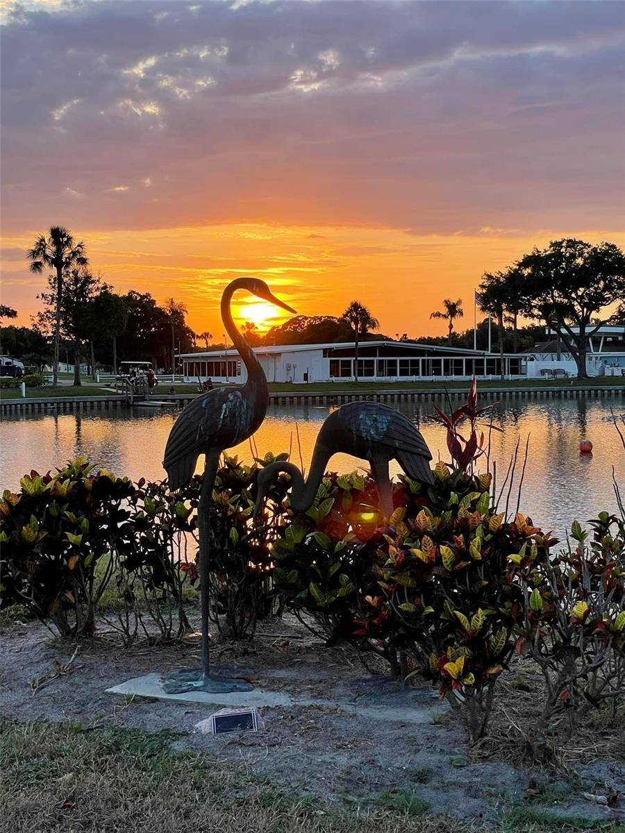 1100 Belcher Road South, #375, Largo, FL 33771