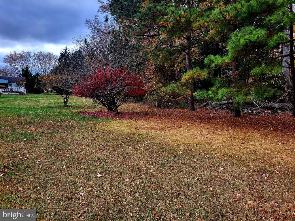 25 Aintree Drive, Lewes, DE 19958