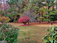 25 Aintree Drive, Lewes, DE 19958