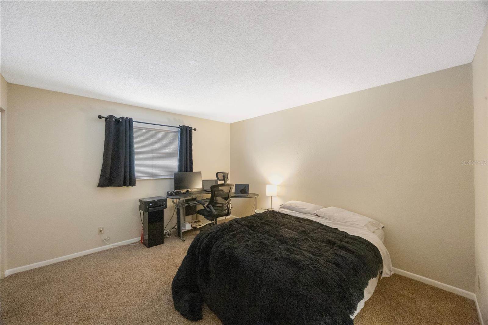 413 Somerset Lane, Palm Harbor, FL 34684