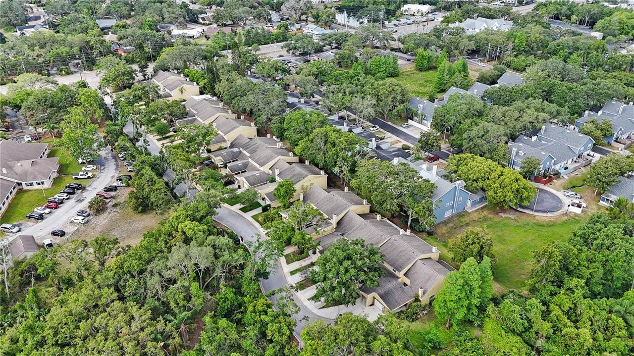 413 Somerset Lane, Palm Harbor, FL 34684