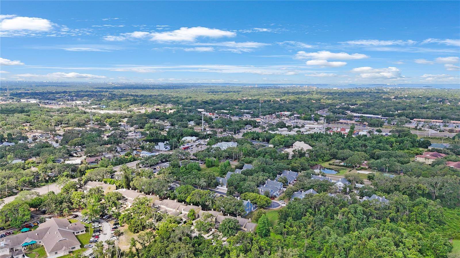 413 Somerset Lane, Palm Harbor, FL 34684