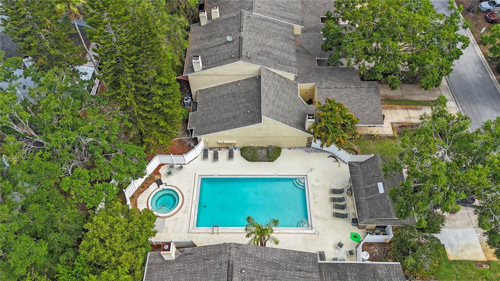 413 Somerset Lane, Palm Harbor, FL 34684