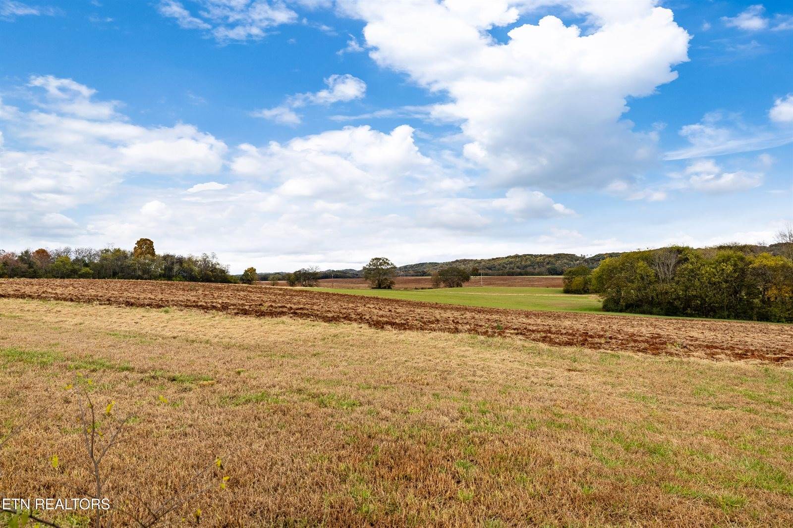 168 Crescent Circle, Niota, TN 37826