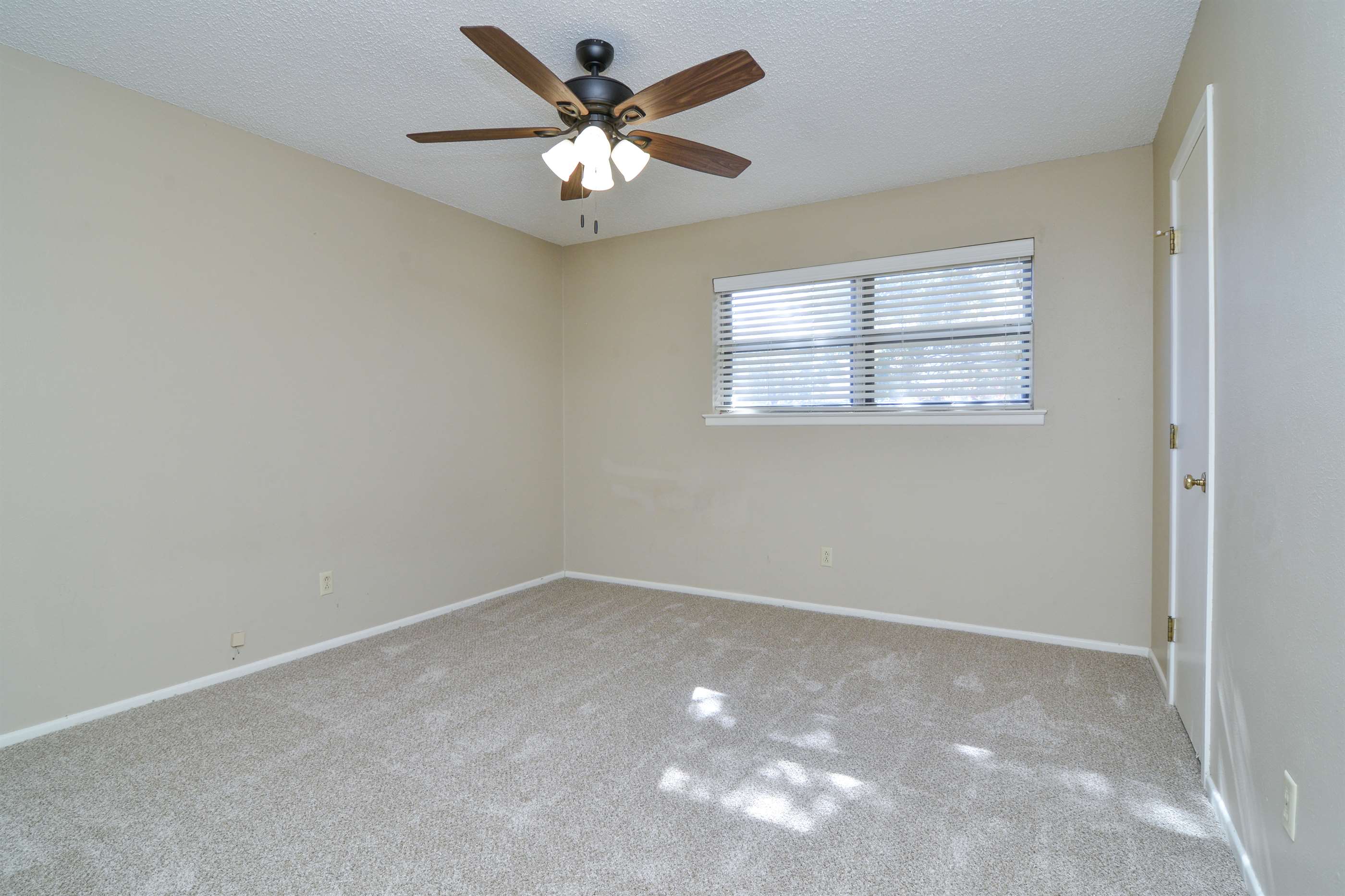 801 13th Street, Shallowater, TX 79363