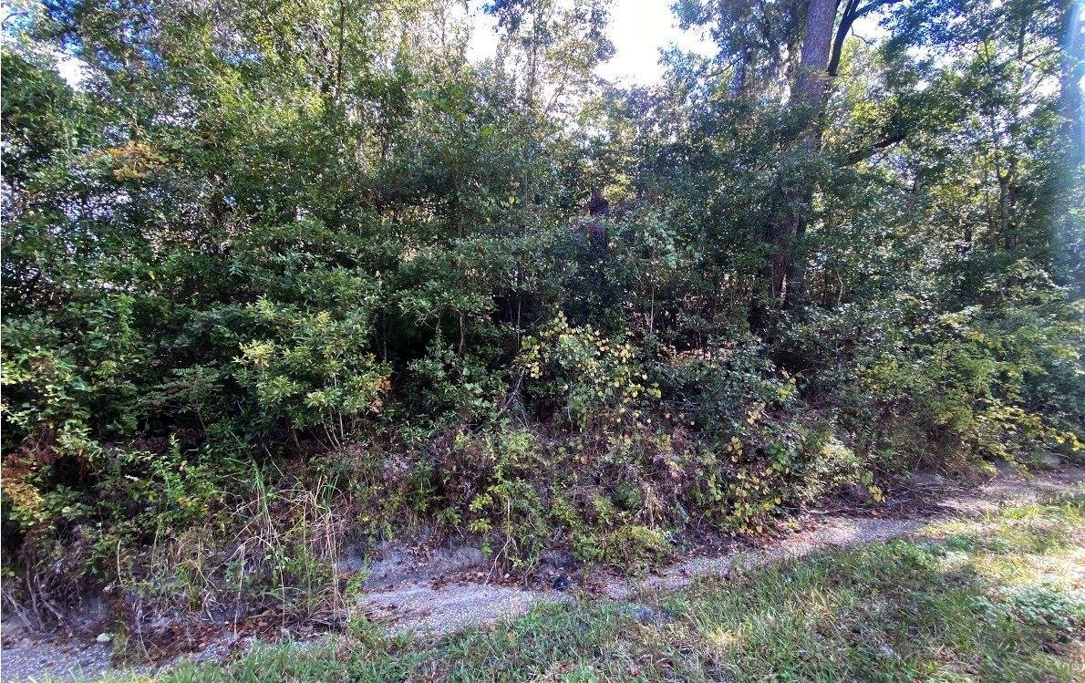 TBD SW Sisters Welcome Road, Lake City, FL 32025